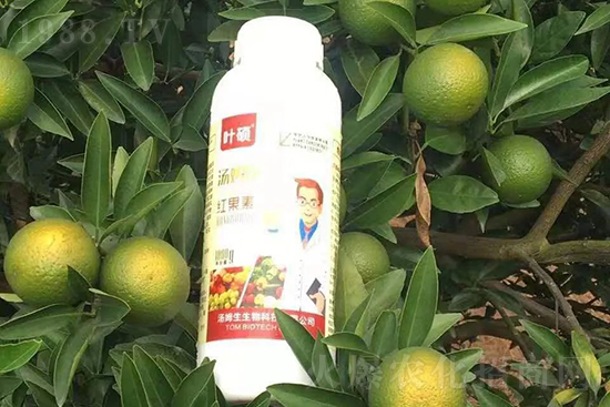 紅果素—只為轉(zhuǎn)色而生！轉(zhuǎn)色快、高，催紅不用愁！