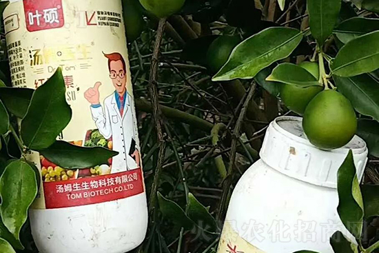 紅果素—只為轉(zhuǎn)色而生！轉(zhuǎn)色快、高，催紅不用愁！