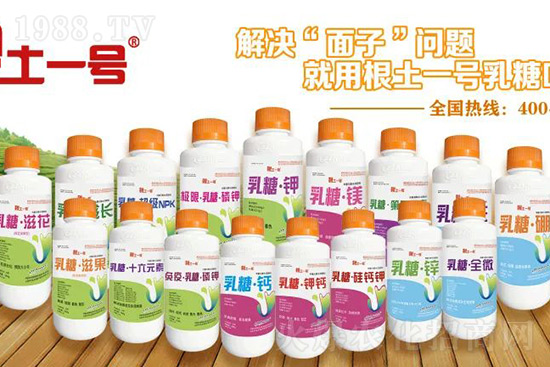 7月份獼猴桃進(jìn)入二次膨大期、轉(zhuǎn)糖期，這5個(gè)管理要點(diǎn)不得不看！