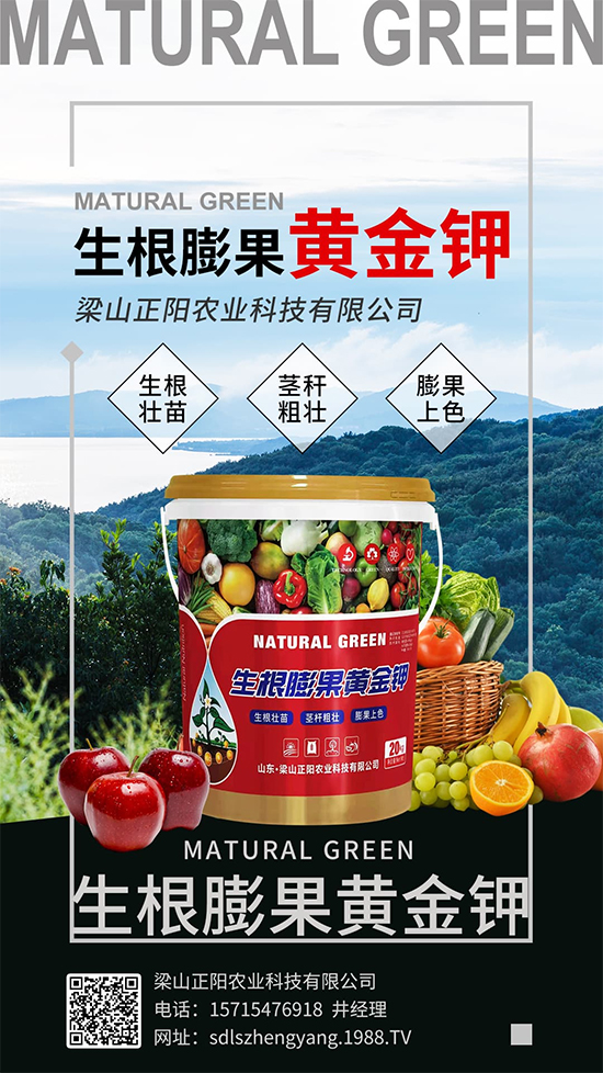 梁山正陽農(nóng)業(yè)科技有限公司6