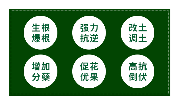 �۹Ȱ����������w��-�̽�_02