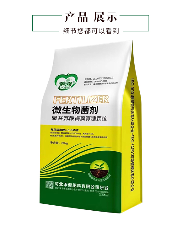 �۹Ȱ����������w��-�̽�_04