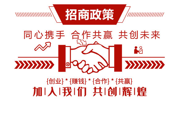 齊魯遠(yuǎn)見(jiàn)-有機(jī)化工廠_04