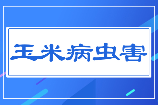 ���ײ��x(ch��ng)��