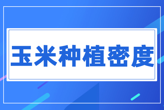 玉米種植密度