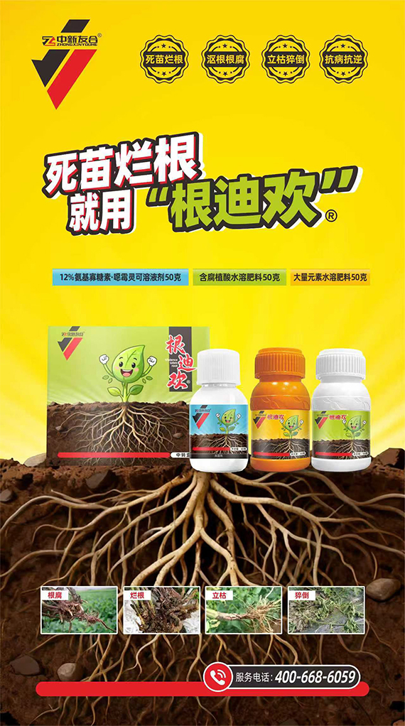 鄭州友合植物1