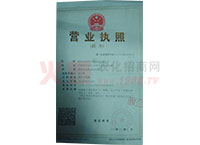 �I�I(y��)��(zh��)�գ�������