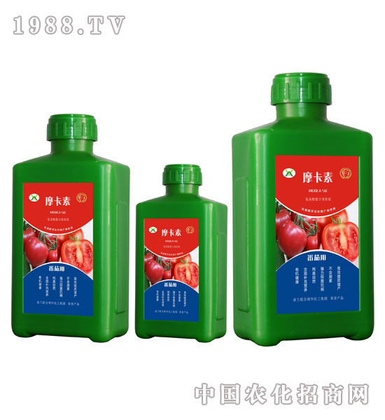 番茄專(zhuān)用氨基酸螯合液肽肥-摩卡素-強(qiáng)芯國(guó)際