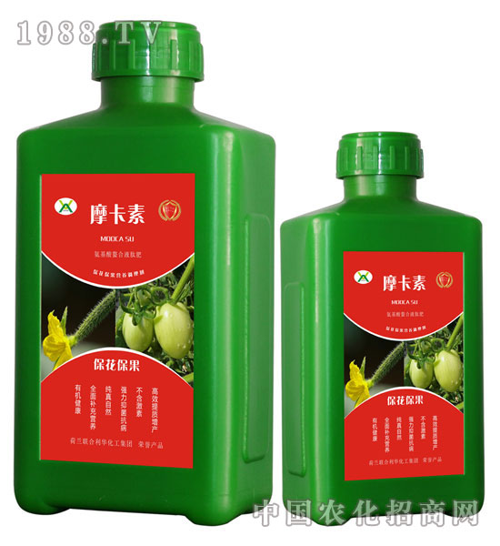 ?；ū９被狎弦弘姆?摩卡素-強(qiáng)芯國(guó)際