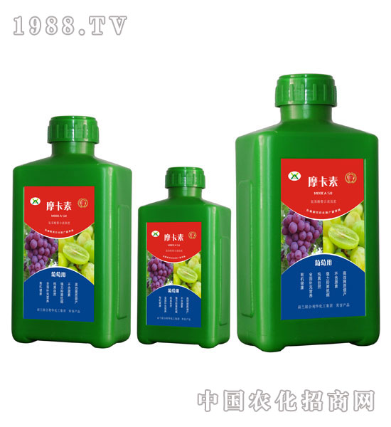 ���ь��ð���������Һ�ķ�-Ħ����-��(qi��ng)о��(gu��)�H