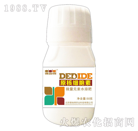 ԭ�˼�����-�µص�