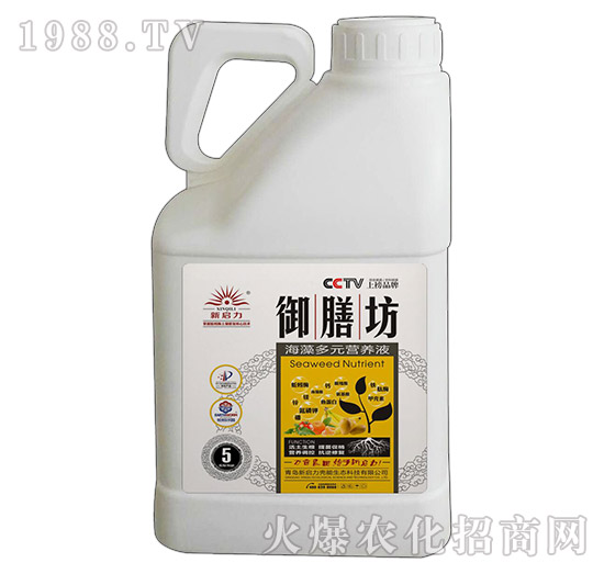 5kg�����Ԫ�I(y��ng)�B(y��ng)Һ-���ŷ�-����