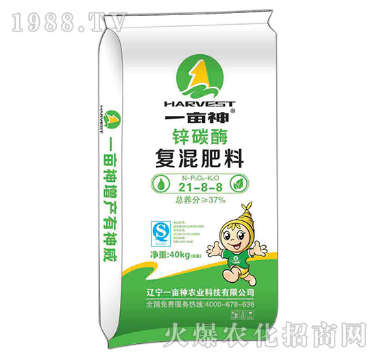 �\̼ø��(f��)���21-8-8-һ����