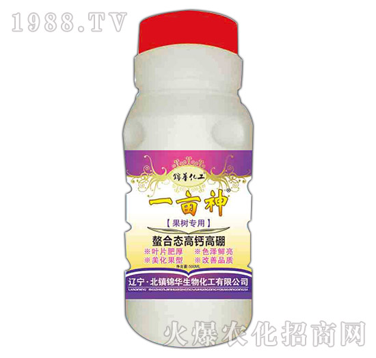 ���䌣�����ϑB(t��i)���}����-һ����