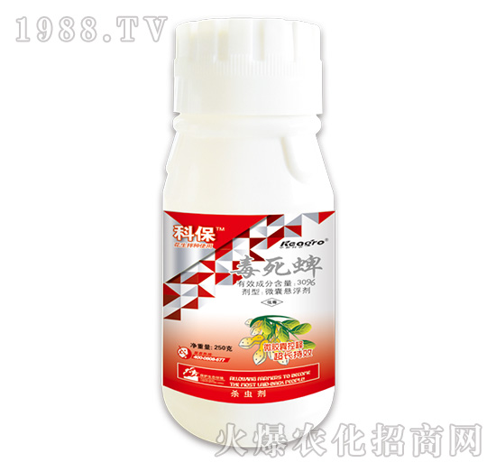 30%毒死蜱-科保-中新科農