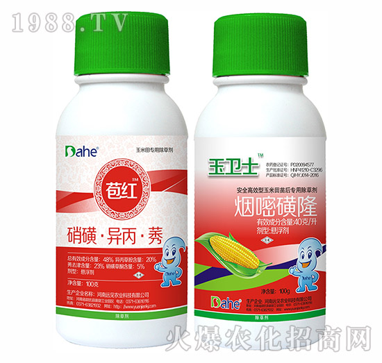 苞紅+玉衛(wèi)士-遠(yuǎn)見(jiàn)農(nóng)業(yè)