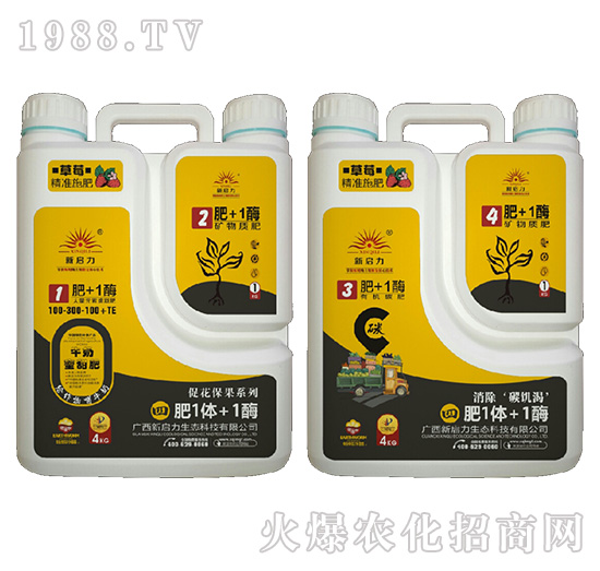 草莓專(zhuān)用-肥1體+1酶-新啟力
