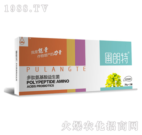 �Ͳ�ͨ��-���İ�����������-������