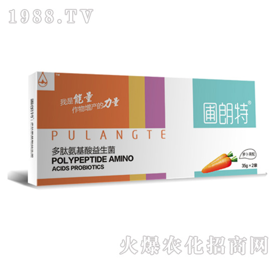 �}������-���İ�����������-������