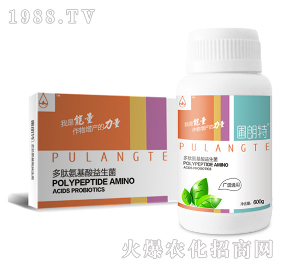 �V�Vͨ��-���İ�����������-������