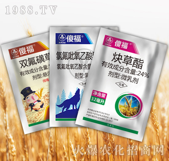 傻福組合-尚禾沃達