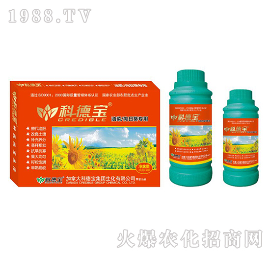 �Ͳ������տ����àI�B(y��ng)���a(ch��n)�{(di��o)�턩-�Ƶ�