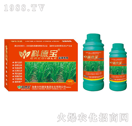 �²ˌ��àI(y��ng)�B(y��ng)���a(ch��n)�{(di��o)�턩-�Ƶ�