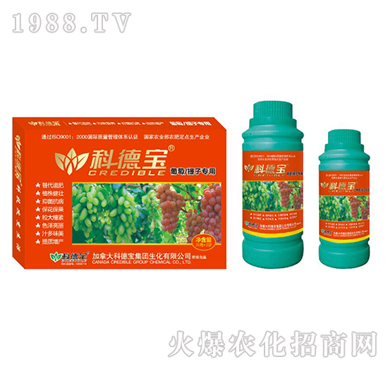 ���������ӌ��àI(y��ng)�B(y��ng)���a(ch��n)�{(di��o)�턩-�Ƶ�