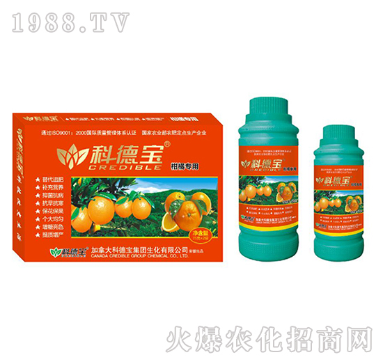 ���ٌ��àI�B(y��ng)���a�{�턩-�Ƶ�