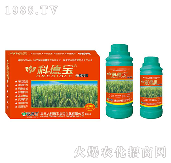 小麥專用營(yíng)養(yǎng)增產(chǎn)調(diào)理劑-科德寶