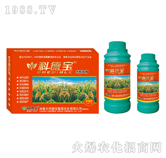 水稻專(zhuān)用營(yíng)養(yǎng)增產(chǎn)調(diào)理劑-科德寶