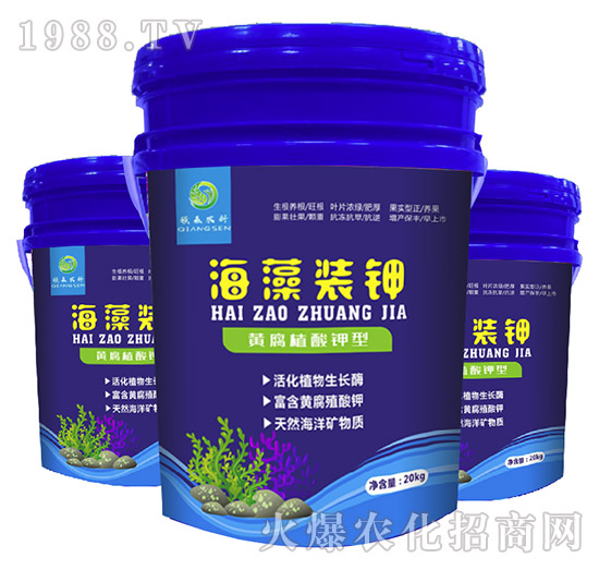 �����b�-��ɭ�r��