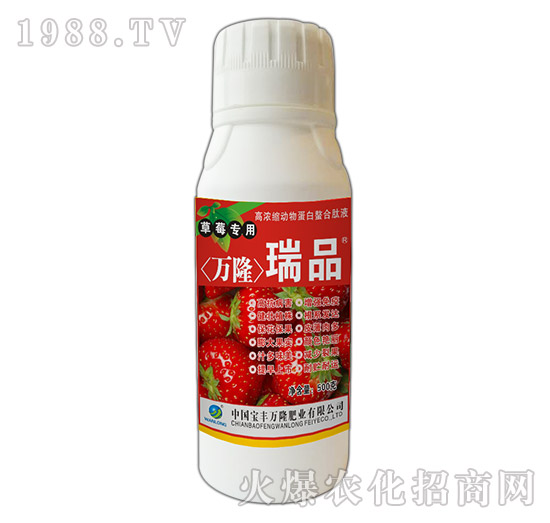 草莓專用高濃縮動(dòng)物蛋白螯合肽液-瑞品-寶豐萬(wàn)隆