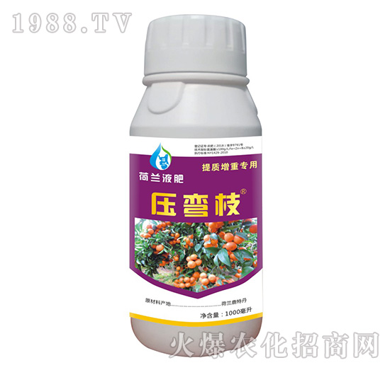 ���mҺ��-����֦-��(chu��ng)���r