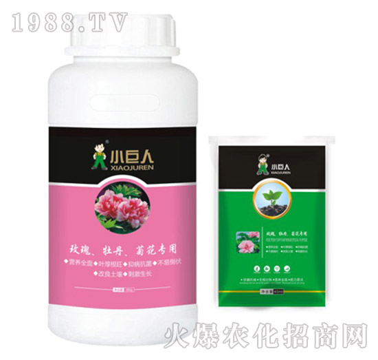 玫瑰、牡丹、菊花專用調(diào)節(jié)劑-小巨人