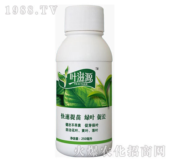 �~��Դ-�{(l��n)���r(n��ng)��