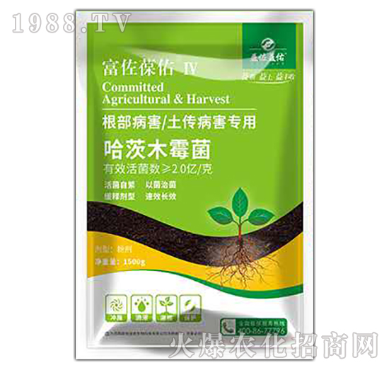 ��������������������-��������-��������