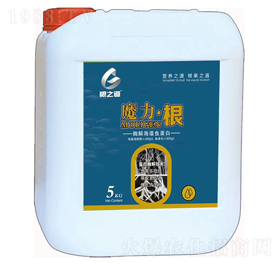 ø�⺣���~����-ħ������-��֮��