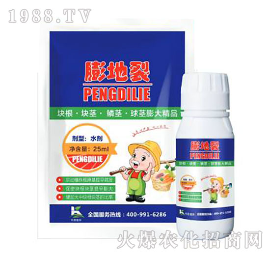 �����-����ֲ��