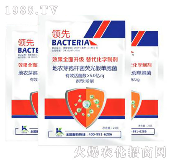 ����ѿ�ߗU���ɹ�نΰ���-����ֲ��