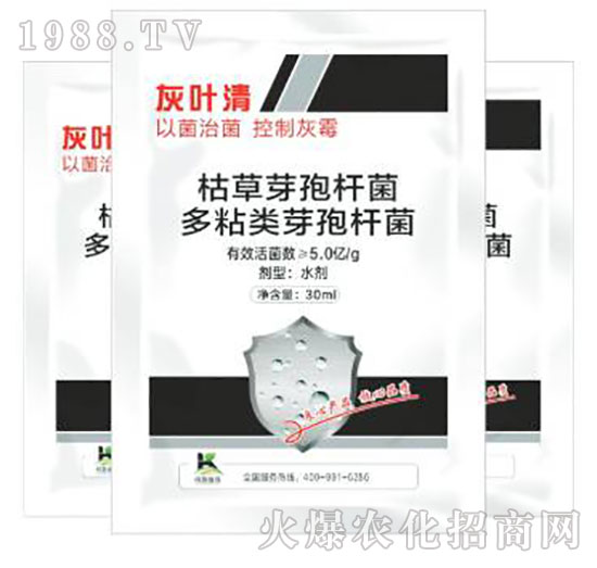 灰葉清-柯易植保