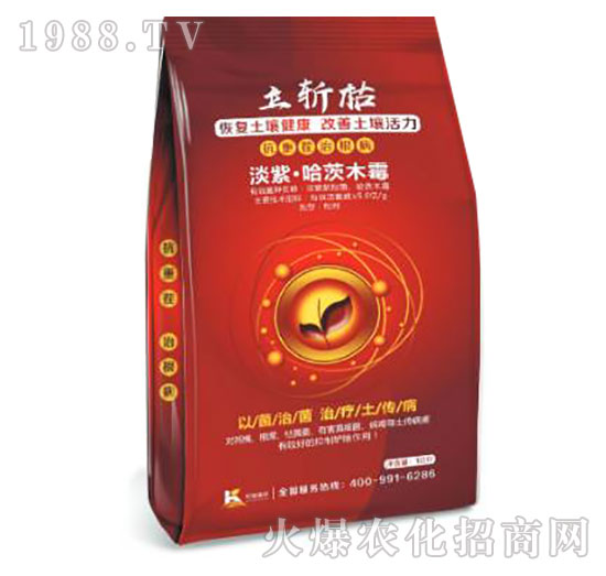 ���ϡ�����ľù��-���ؿ�-����ֲ��