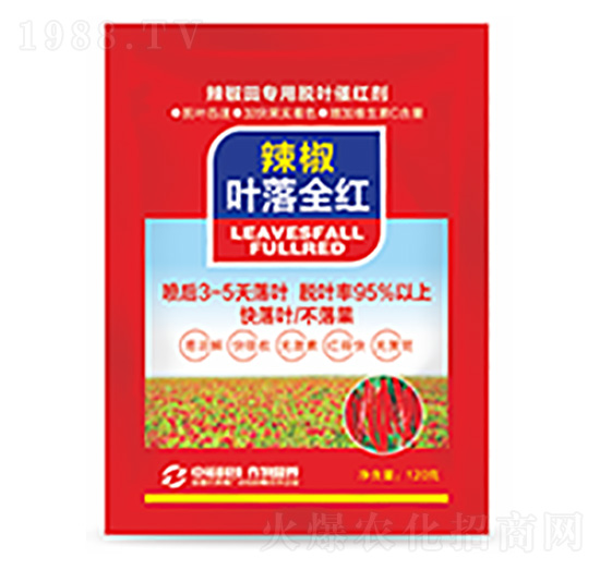 �����~��ȫ�t-�����Ƽ�