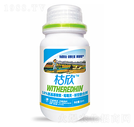 18%���������ء���ù�`��������τ�-����-�����Ƽ�