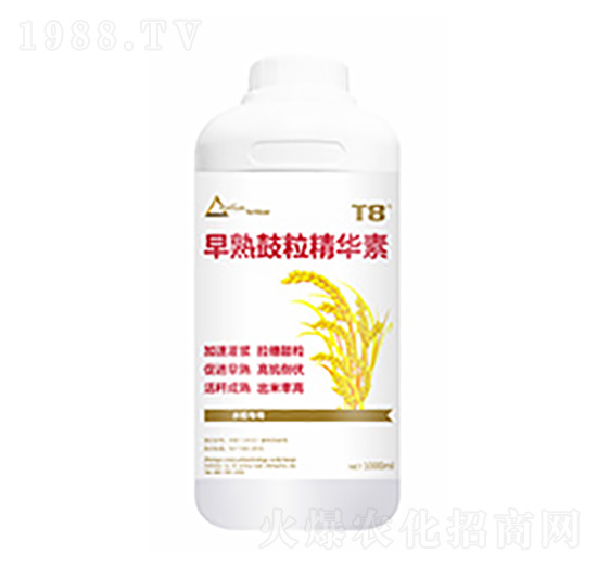 ����������A��-��ԣ�Ƽ�