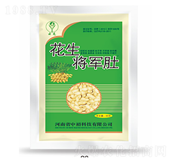 ������܊��-�����Ƽ�