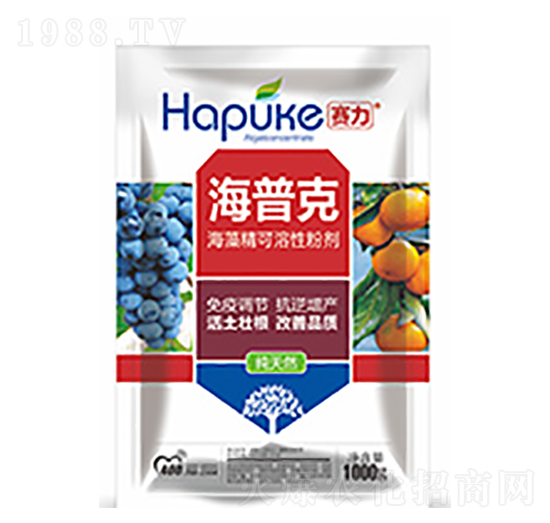 ِ�����տ�-�����Ƽ�