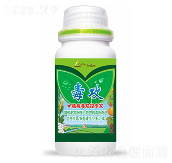 ����-�����Ƽ�