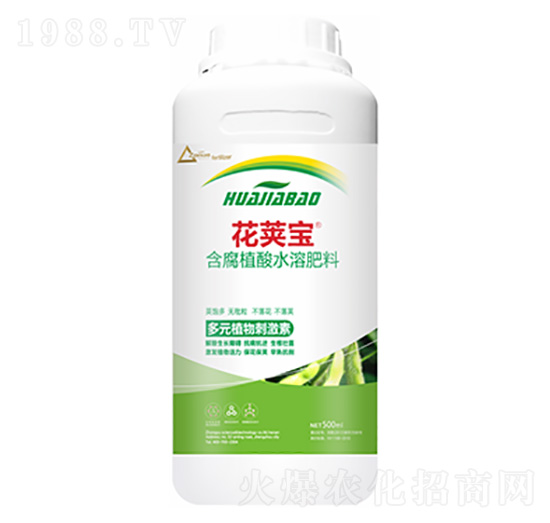 �󶹻�Ӣ��-�����Ƽ�