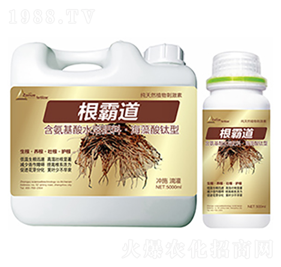 ���Ե�-�����Ƽ�